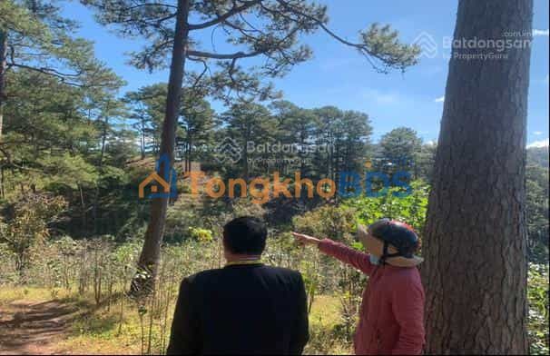 Đất vườn Xuân Trường 10.660m² 9,9 triệu - Nghỉ dưỡng