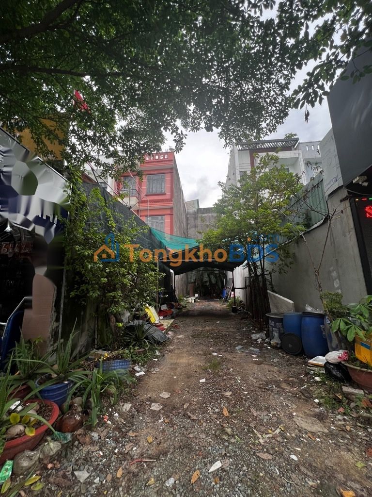 Đất nền Tam Bình Thủ Đức 119m² 5.5 tỷ - Sổ đỏ chính chủ