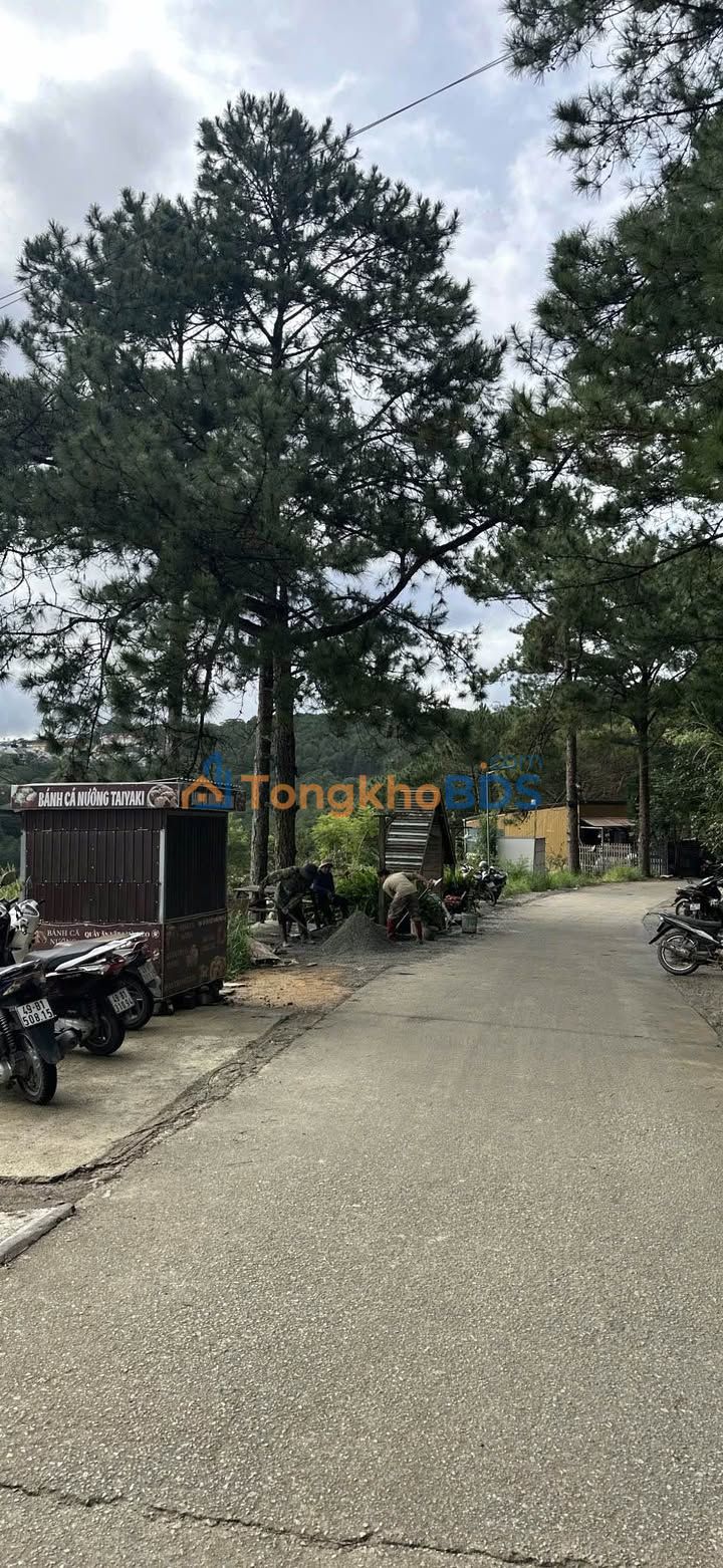 Đất nền P5 Đà Lạt 300m² 1.69 tỷ - Sổ riêng nông nghiệp gần trung tâm