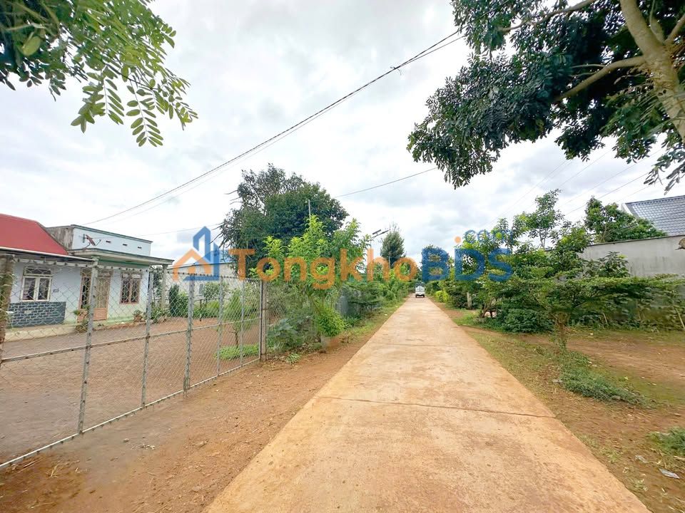 Đất nền Tân Hội Đức Trọng 560m² 900 triệu - Tiềm năng tăng giá