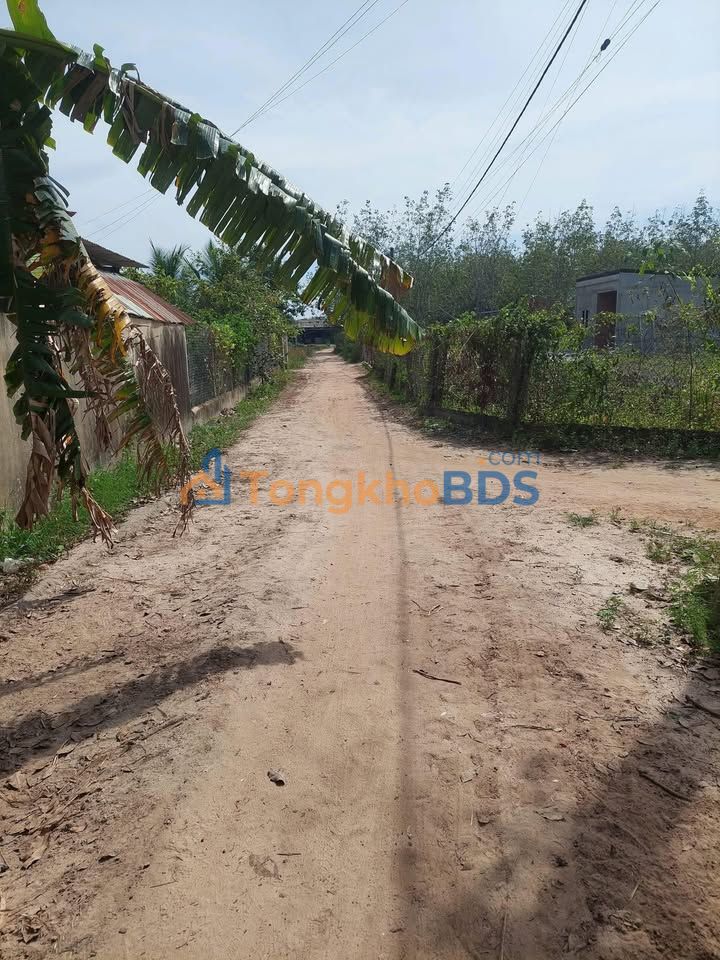 Đất nền Tân Hội Tây Ninh 414m² 360 triệu - Sổ đỏ chính chủ