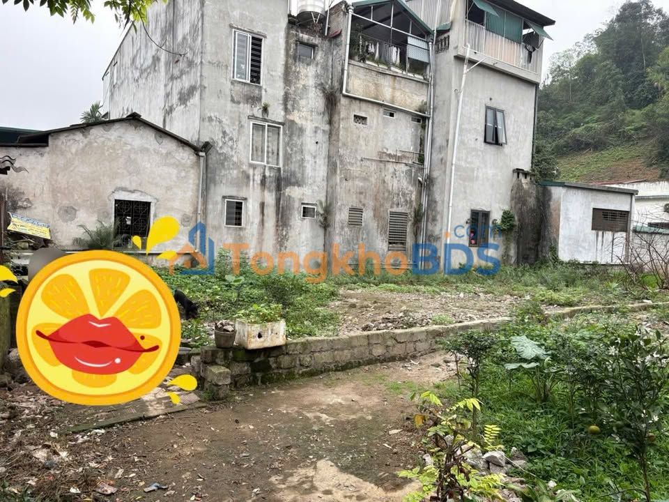 Đất nền Km4 Yên Bái 95m² 700-799tr - Sổ đỏ chính chủ