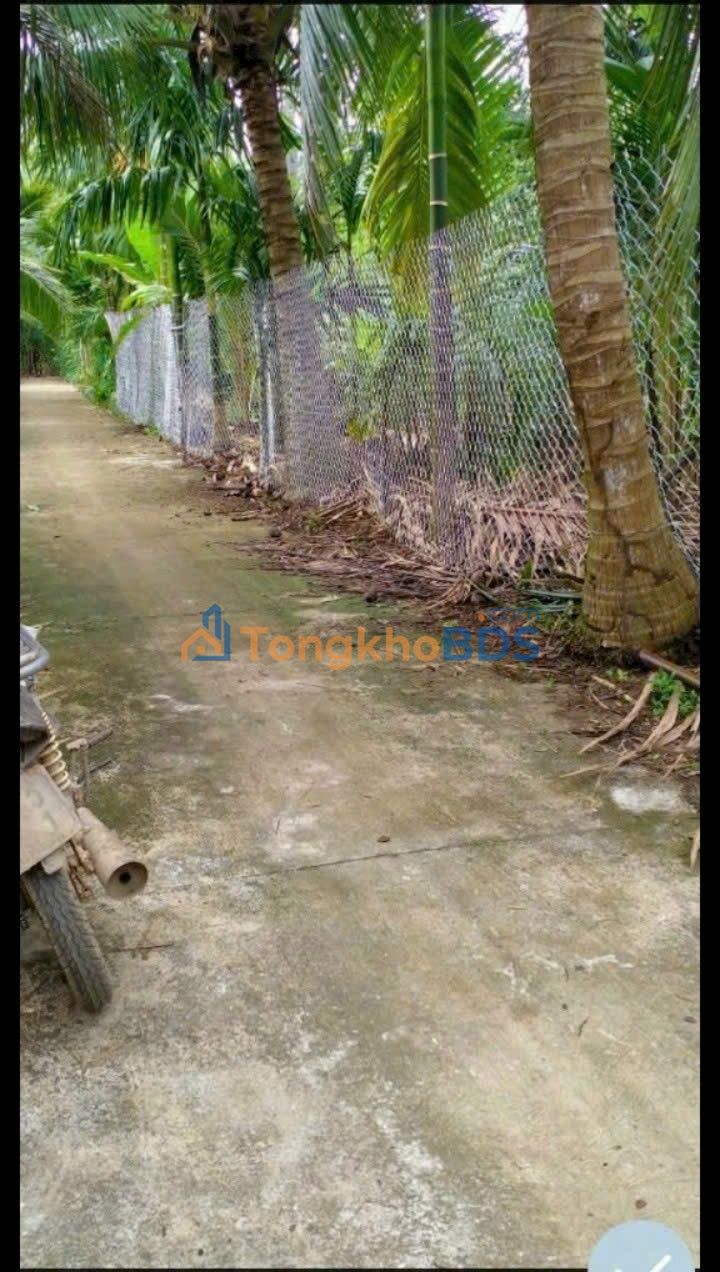 Đất vườn Lương Quới 1500m² 1.05 tỷ - Đường ô tô