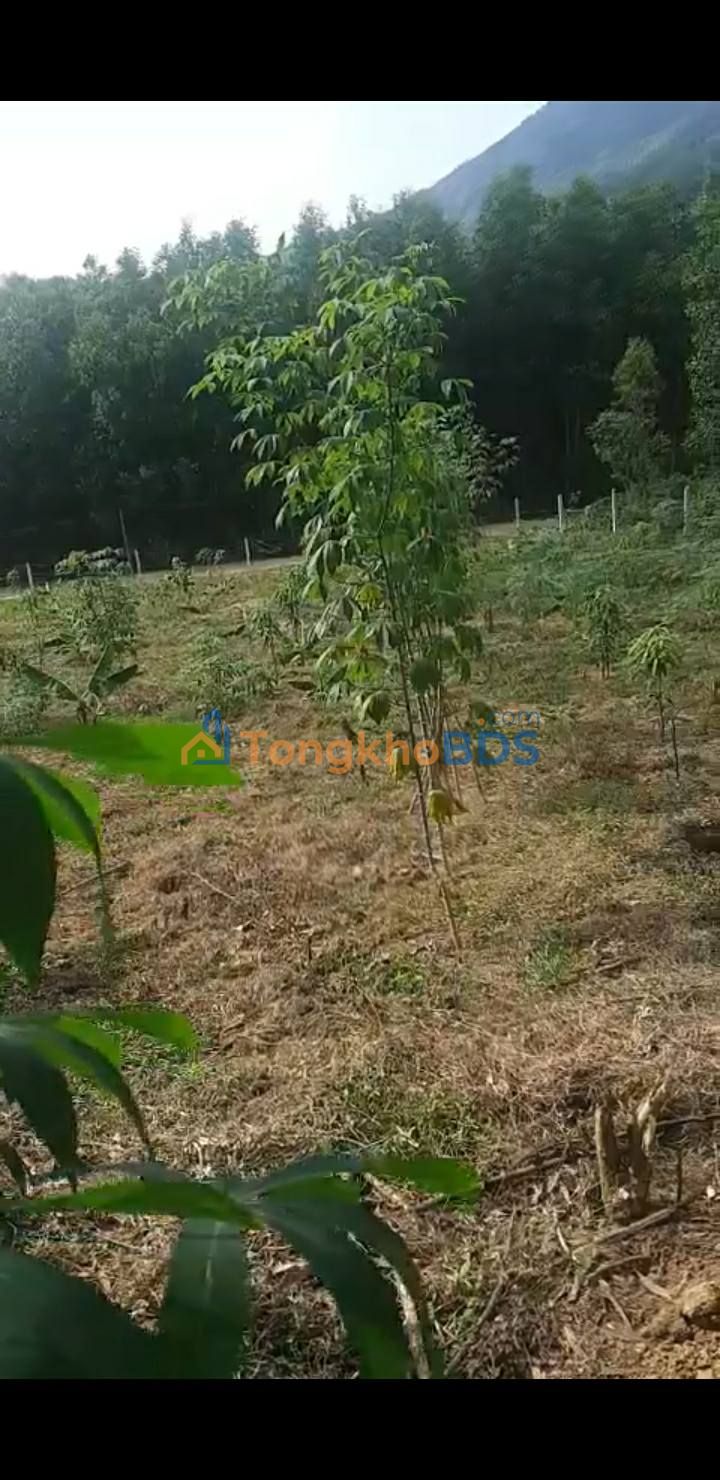 Đất Diên Lâm Diên Khánh 1683m² 1.25 tỷ - Sổ hồng