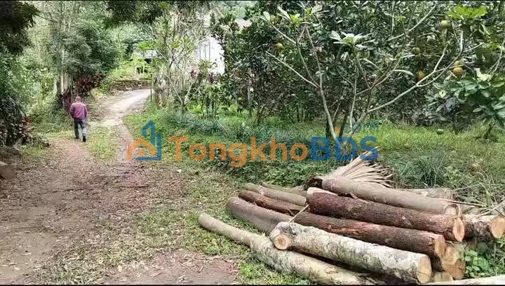 Đất vườn Cao Dương 500m² thỏa thuận - Nghỉ dưỡng lý tưởng