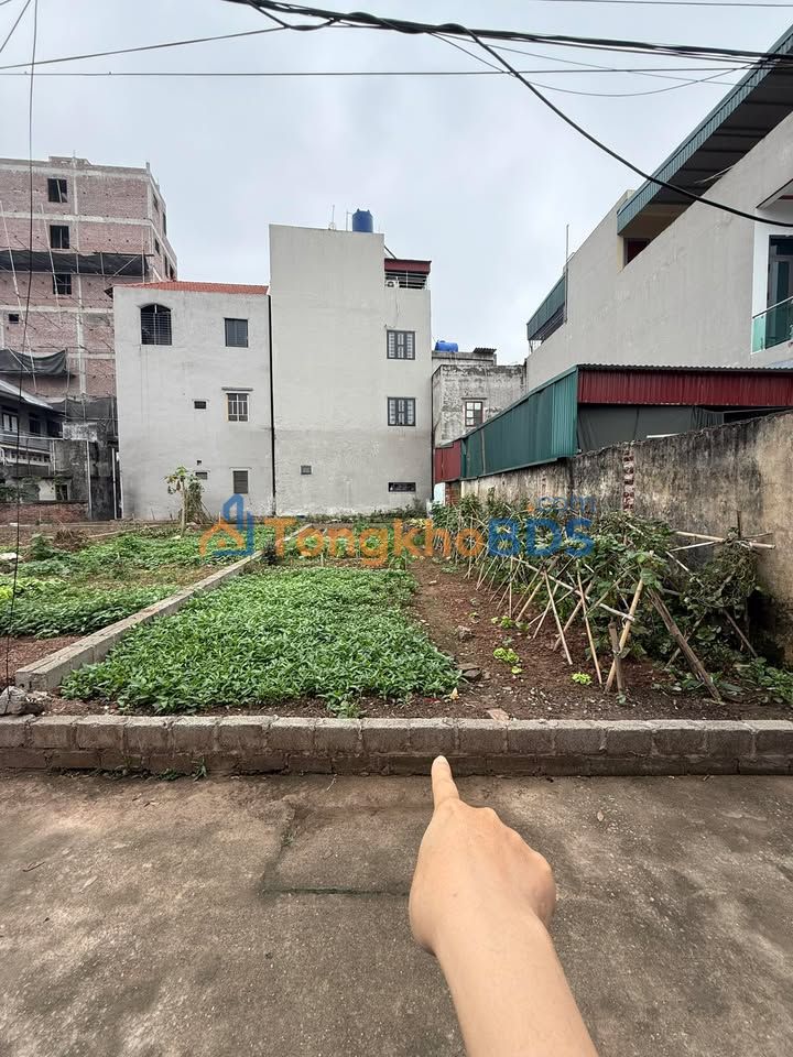 Đất Quất Động Thường Tín 100m² - Ô tô vào tận nhà