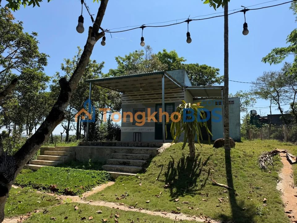 Nhà vườn Đắk R'Măng 5000m² 1,45 tỷ - Chính chủ bán