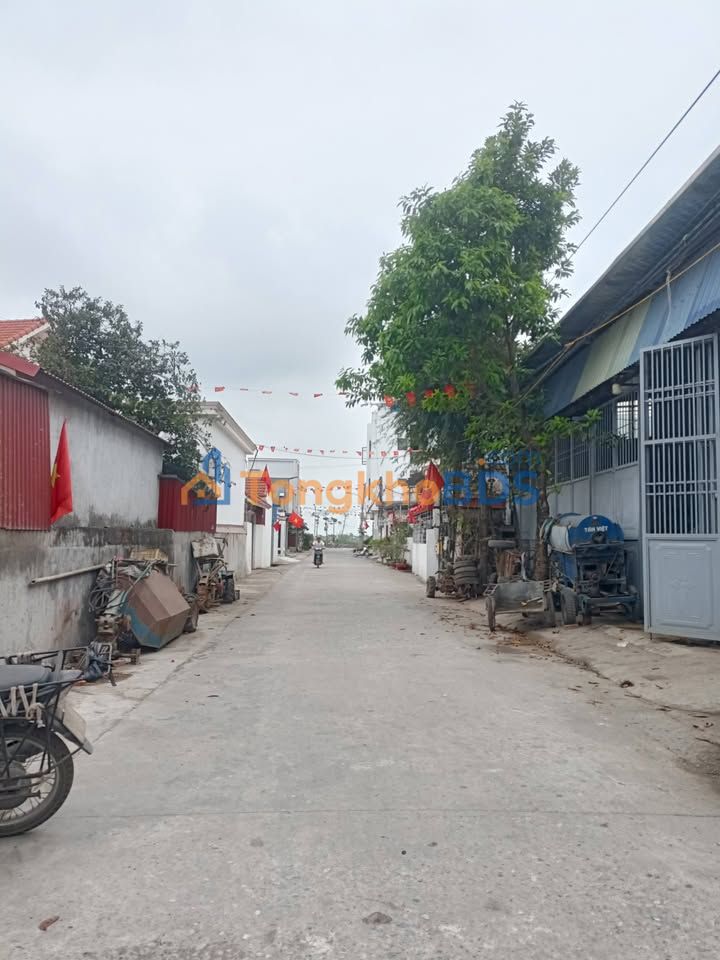 Đất nền Tiên Lãng 100m2 1,6 tỷ - Tiềm năng tăng giá