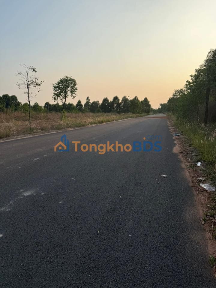 Đất nền Thới Hòa Bến Cát 10.835m² 43.34 tỷ - Đường to ô tô