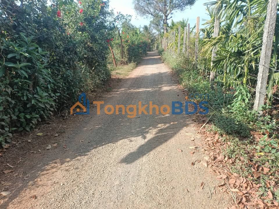 Đất nền Chư Sê 720m2 giá 1.61 tỷ - Hạ tầng hoàn thiện