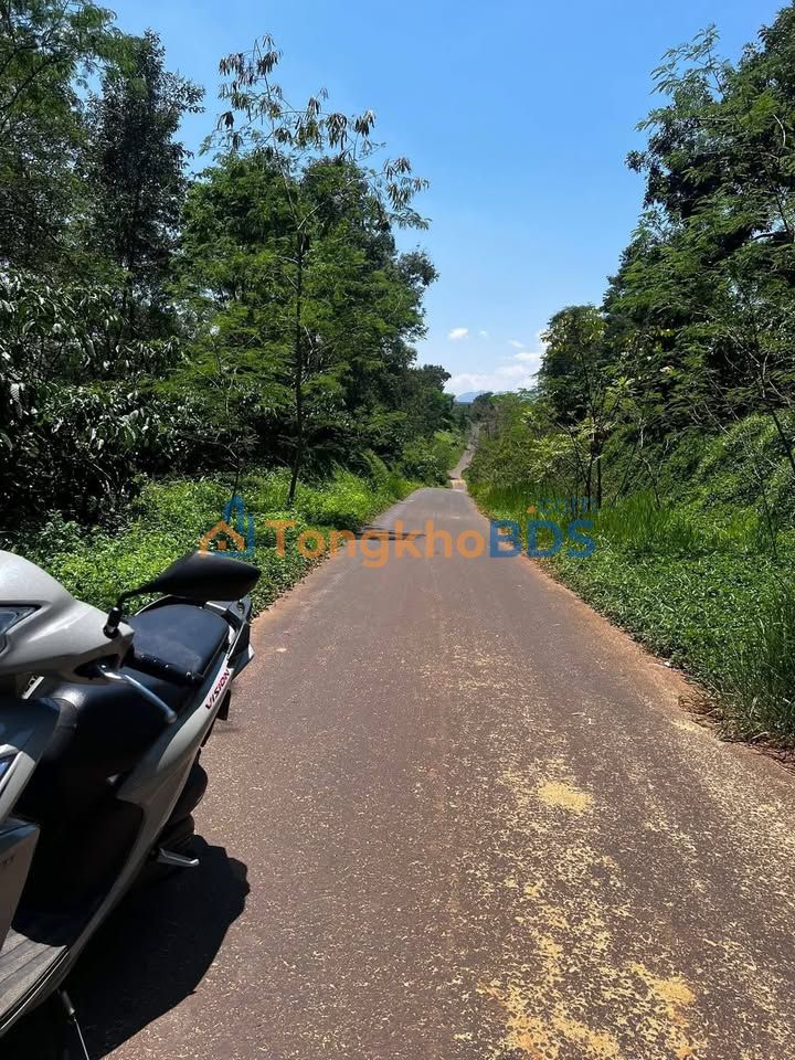 Đất vườn Lộc Thanh 1260m² 2.8 tỷ - Sinh thái xanh