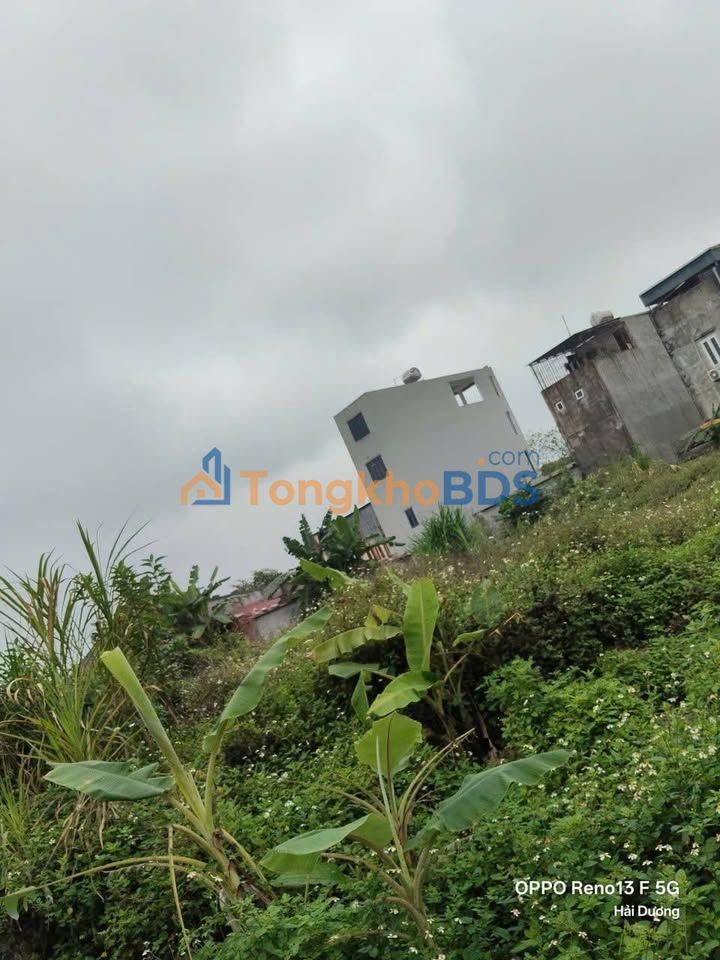 Đất Phú Bình Hải Dương 43/51m² 1,29-1,39 tỷ - Sổ đỏ