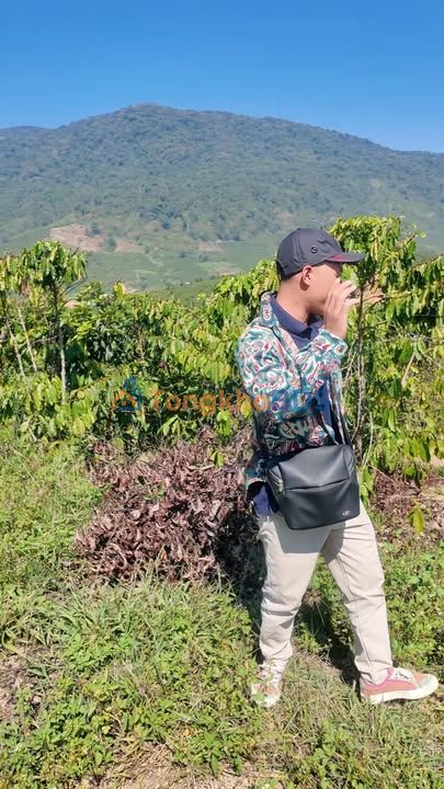 Đất nền Păng Dung Đạ K'Nàng 1ha 2.5 tỷ - Sổ hồng chính chủ