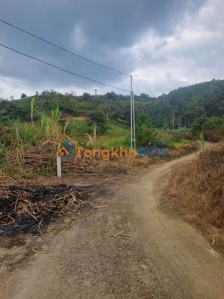 Đất thổ cư Tân Lạc Bảo Lâm 360m² 485 triệu - Sổ đỏ chính chủ