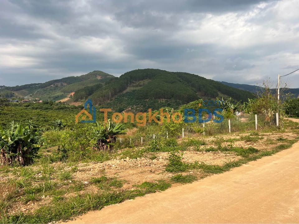 Đất vườn Phường 5 Đà Lạt 612m² 1.45 tỷ - Sinh thái xanh