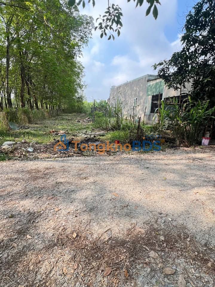 Đất nền Hòa Lợi Bến Cát 150m² 1.18 tỷ - Sổ đỏ chính chủ