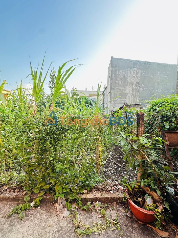 Đất hẻm Đường Số 25 Thủ Đức 37m² 3.7 tỷ - Sổ hồng rõ ràng