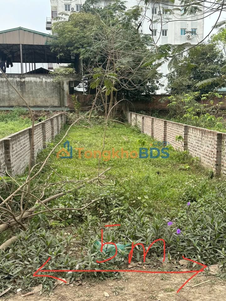 Đất nền Tân Xã Thạch Thất 100m² 3.35 tỷ - Sổ đỏ