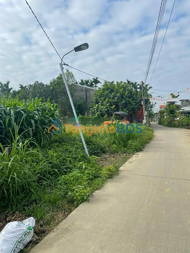 Đất thổ cư Kì Bì Điện Thọ 124m² 6xx triệu - Tiềm năng tăng giá