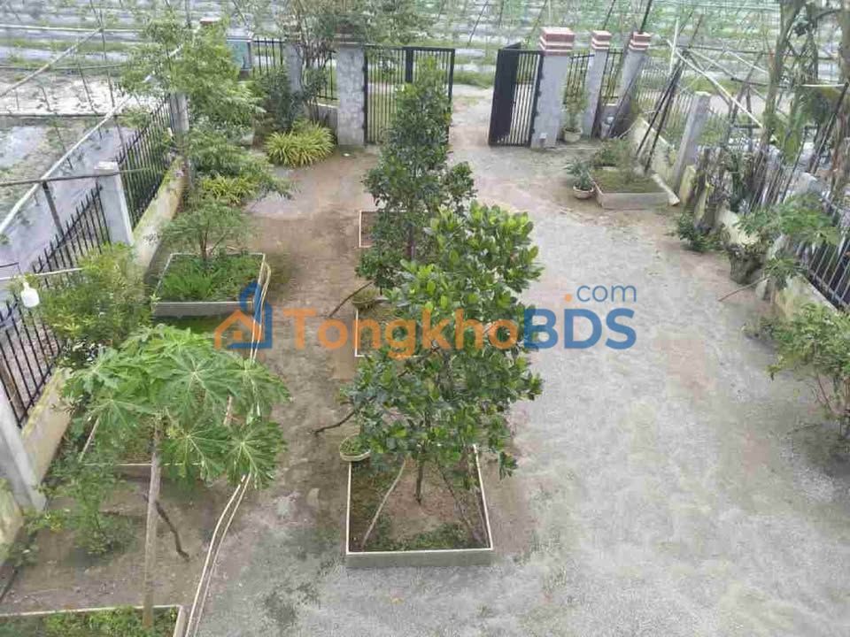 Nhà vườn Hòa Khương Đà Nẵng 400m² 2,65 tỷ - Sẵn sàng ở ngay