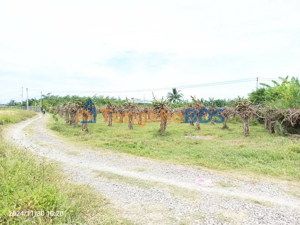 Đất nông nghiệp Hàm Đức 2.7k m² 490 triệu - Đầu tư dài hạn