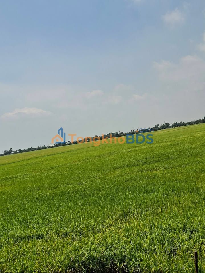 Đất nền Kiến Bình 1,5ha 150 triệu - Đường to ôtô