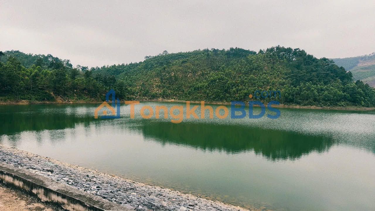 Đất Tràng Lương Đông Triều 2,3ha 500 triệu, ô tô vào