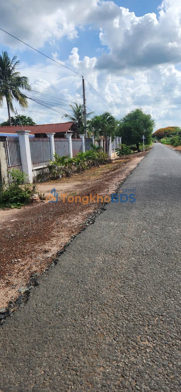 Đất nền Tân Hưng Tân Châu 440m² 800 triệu - Sổ đỏ chính chủ