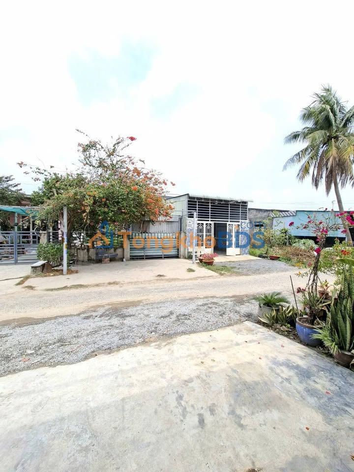 Townhouse Tây Ninh 170m² giá 1.45 tỷ - Vị trí đắc địa