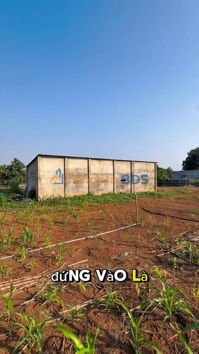 Đất Thiện Hưng Đồng Nai 1.600m² 950 triệu - Sổ đỏ chính chủ