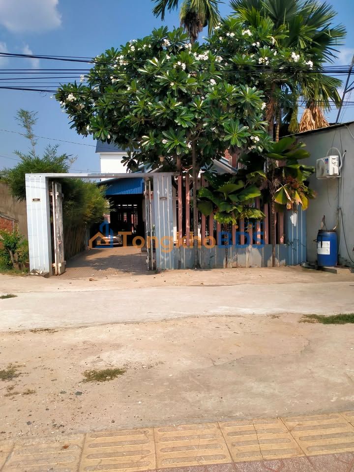 Đất nền Long Kim Hòa Thành 230m² 5.904 tỷ - Sổ đỏ chính chủ