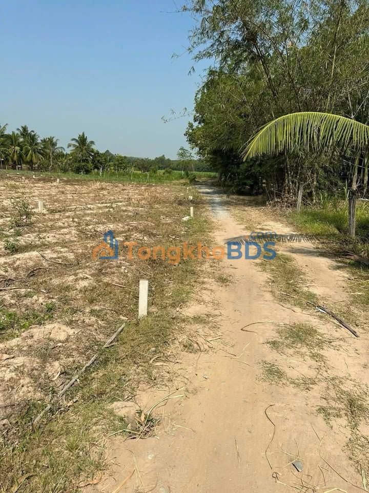 Đất nền Hảo Đước Châu Thành 135m² 200 triệu - Đất thổ cư 100%