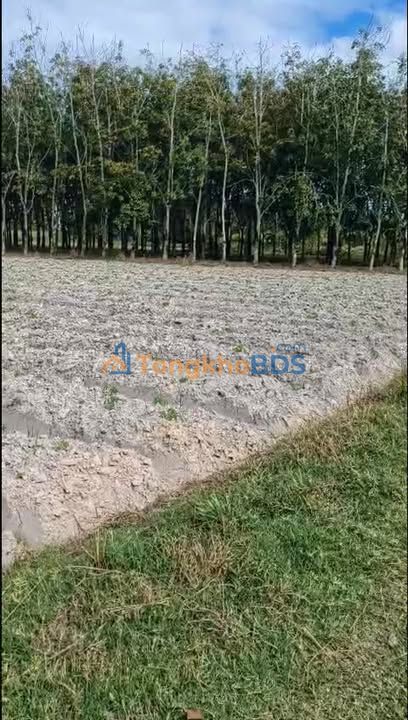 Đất nền Đồng Khởi Châu Thành 1.8 công giá 650 triệu - Đất thổ cư 100%