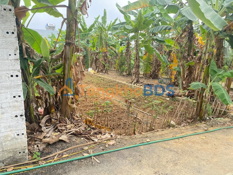 Đất nền Hoàng Xá Lại Thượng Thạch Thất 145m² - Sổ hồng rõ ràng