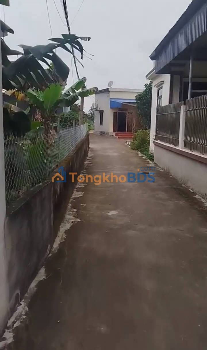 Đất Mỹ Tân Nam Định 52m² 530 triệu - Xây dựng tự do