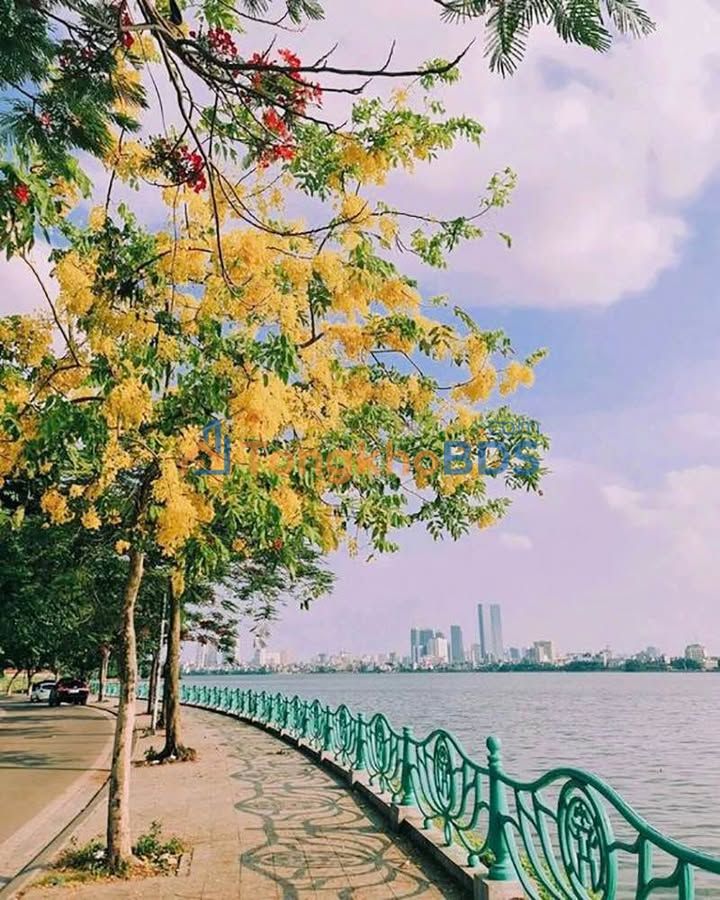 Đất nền Võng Thị Tây Hồ 105m² 55 tỷ - Sổ đỏ