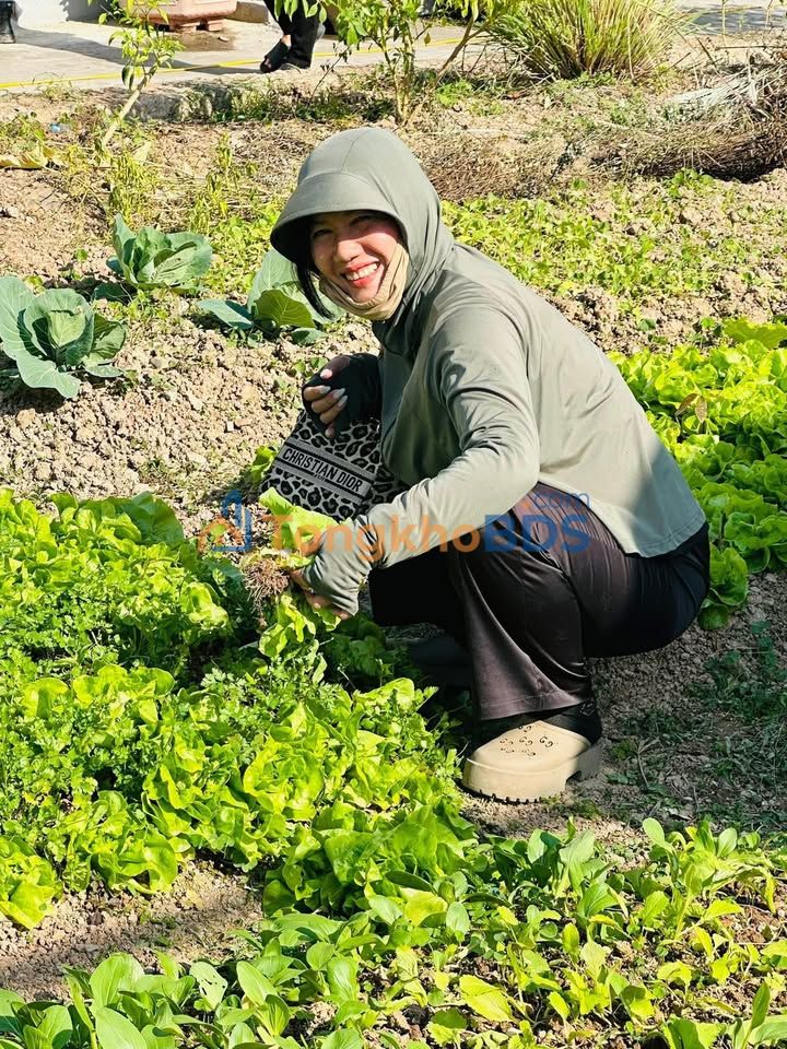 Đất nền Thủy Đường 107-112m² 2 tỷ - Đường to ô tô