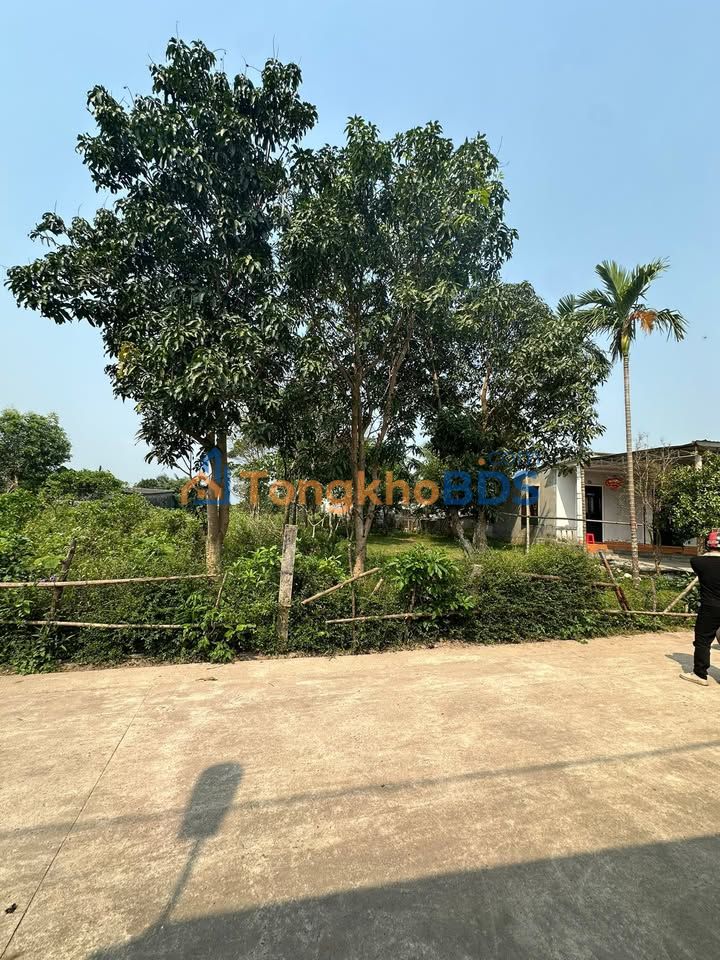 Đất nền Đường 2 Đông Hà 125m² 800-899 triệu - Sổ đỏ chính chủ