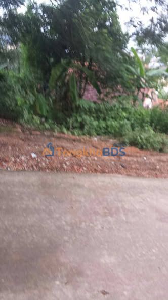 Đất nền Hà Khẩu Hạ Long 150m² giá 1.25 tỷ - Sổ đỏ chính chủ