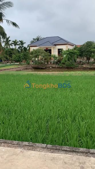 Đất nền Yên Thái Ninh Bình 783m² - Thổ cư 100%