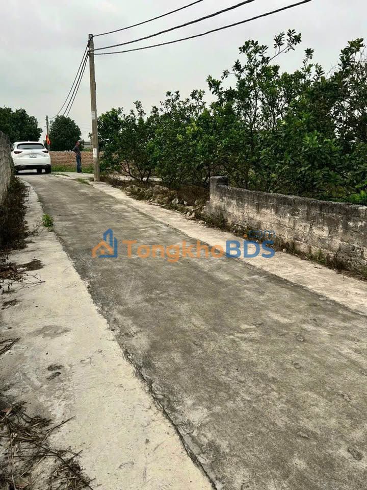 Đất nền Chi Lăng Đông Triều 196m² - Đường ô tô vào rộng