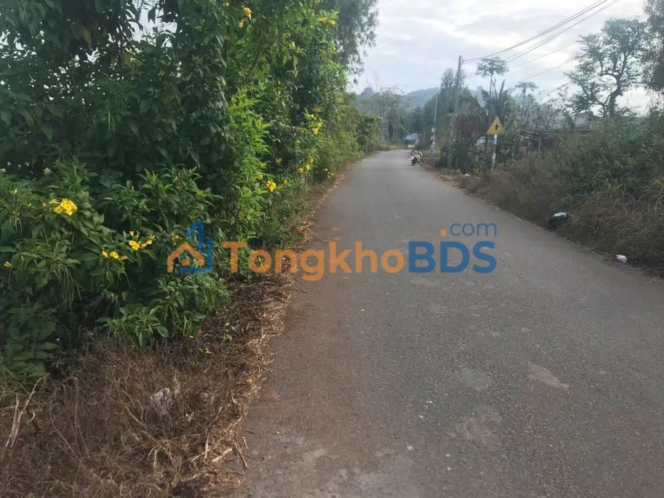 Đất nền Châu Đức 168m² 1.7 tỷ - Tiềm năng tăng giá