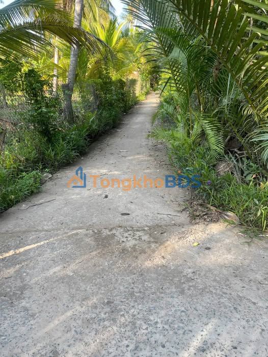 Đất vườn Đa Phước Hội 3000m² 600 triệu - Tiềm năng tăng giá