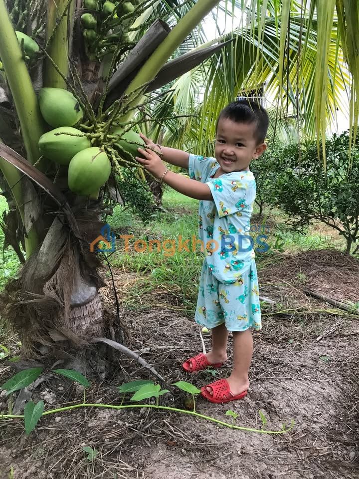 Đất nền Long Hòa Bình Thủy 3.000m² 4.5 tỷ - Pháp lý rõ ràng