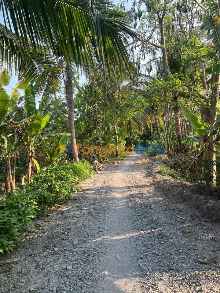 Đất Phú Hữu Cần Thơ 1.000m² 480 triệu - Đầu tư dài hạn