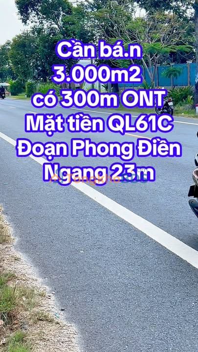 Đất nền QL61C Phong Điền 3.000m² - Sổ đỏ chính chủ