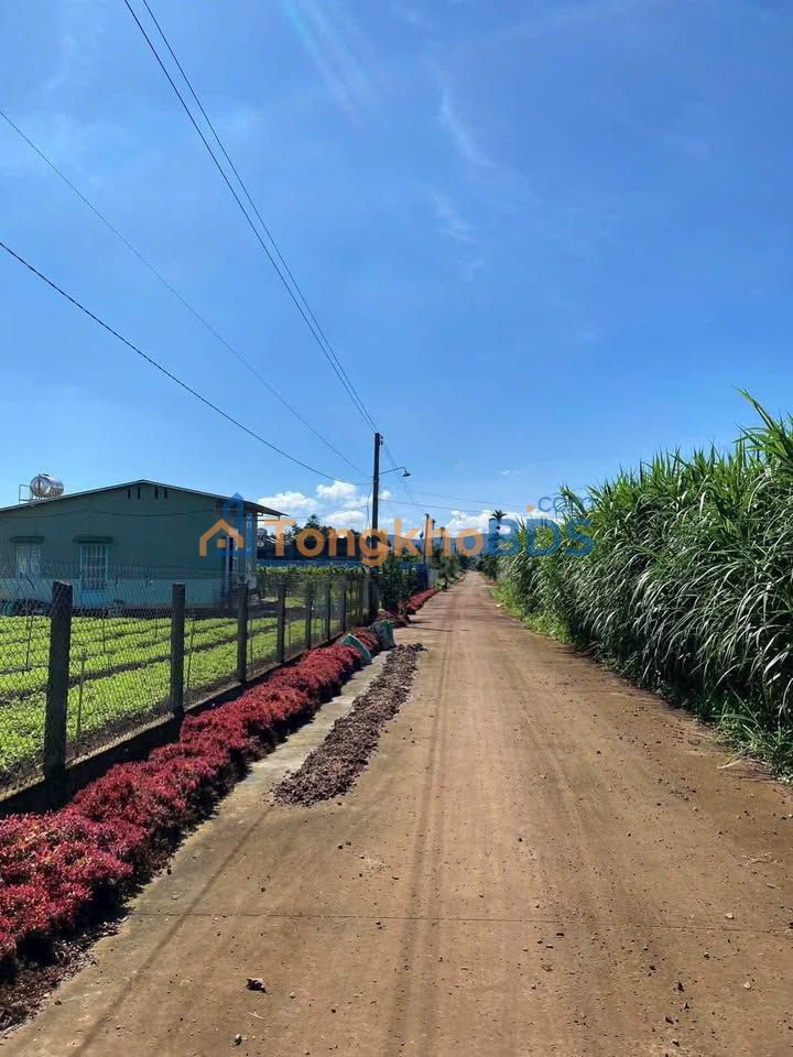 Đất nền Liên Nghĩa 2000m² 4.5 tỷ - Giá tốt hiếm có