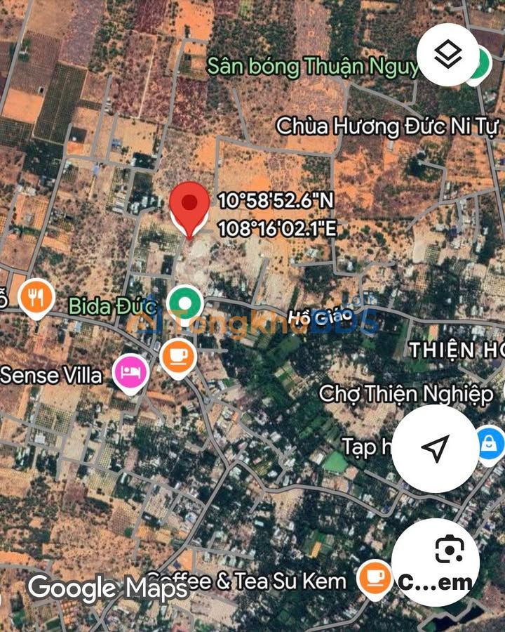 Farm Mũi Né Phan Thiết 3000m² 12,5 tỷ – Đầu tư dài hạn