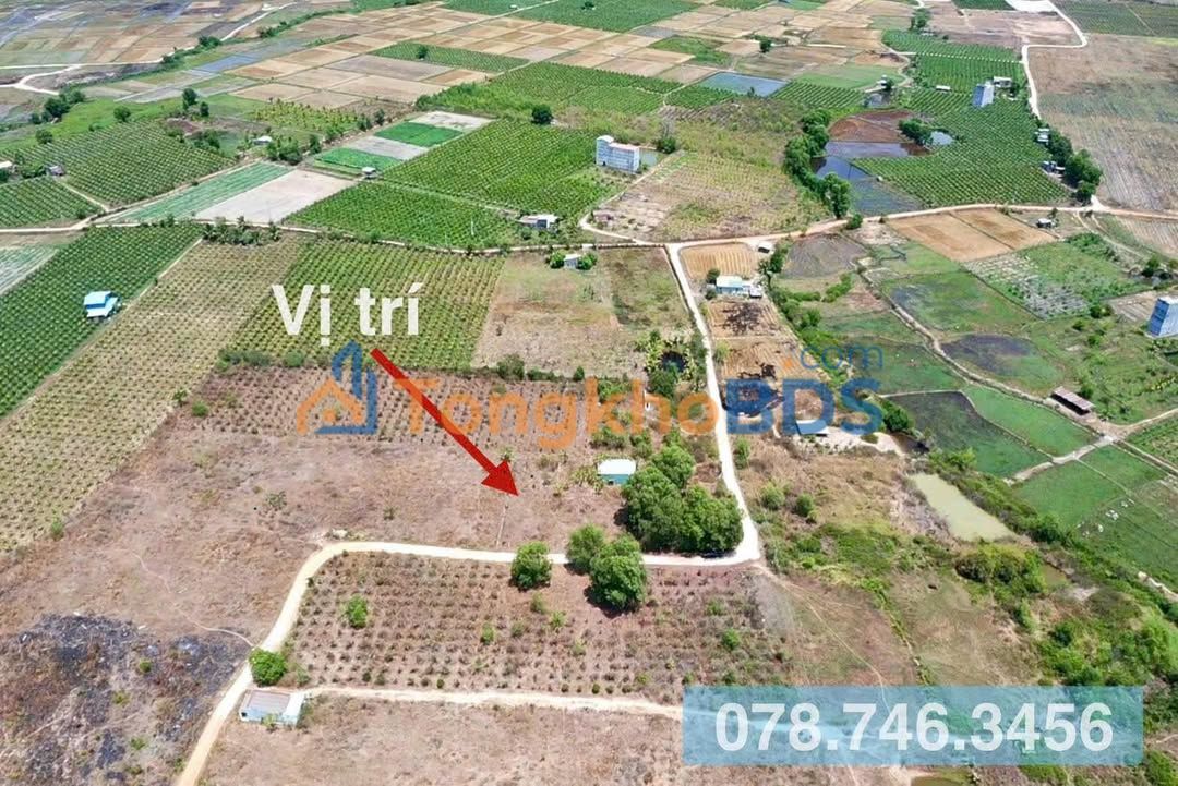 Đất cây lâu năm Hàm Liêm 6.300m² giá 2,55 tỷ - Đầu tư dài hạn