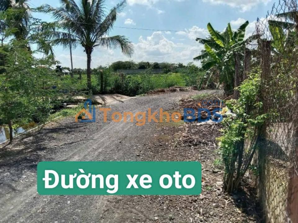 Đất nền Hưng Long Bình Chánh 1000m² 3.2 tỷ - Sổ đỏ chính chủ
